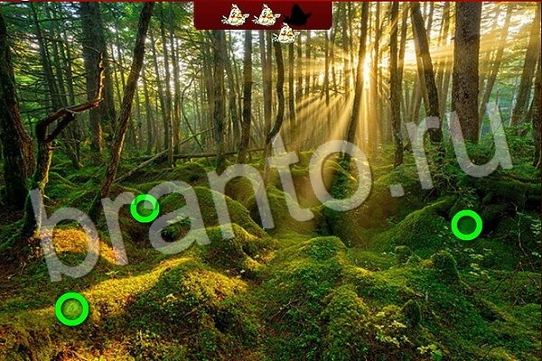 Игра Птичий переполох подсказки вконтакте Уровень 538