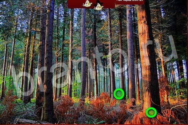 ответы к игре Птичий переполох Уровень 545