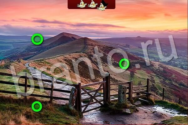 Птичий переполох игра ответы в одноклассниках Уровень 547