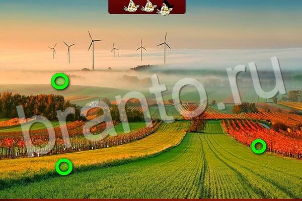 Птичий переполох подсказки в контакте Уровень 549