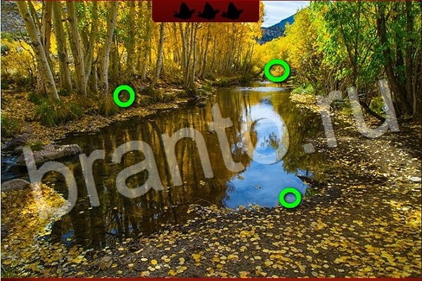 игра Птичий переполох ответ на Уровень 550