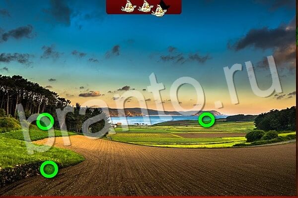 Птичий переполох игра подсказки Уровень 554