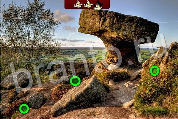 Птичий переполох ответы в картинках Уровень 556