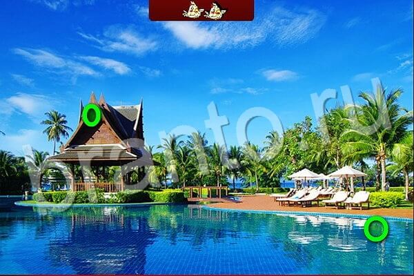 Одноклассники Игра Птичий переполох ответы Уровень 557