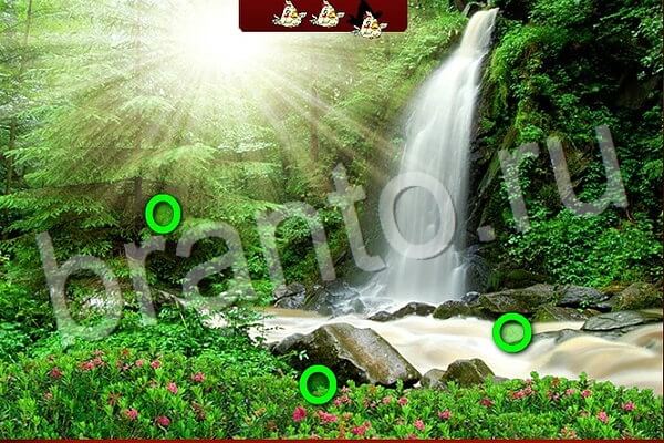 ВКонтакте Игра Птичий переполох подсказки Уровень 558