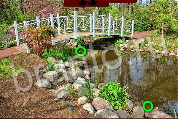 решебник на игру в контактеПтичий переполох Уровень 561