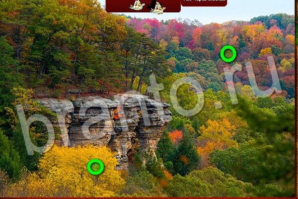 Птичий переполох игра в контакте ответы Уровень 563