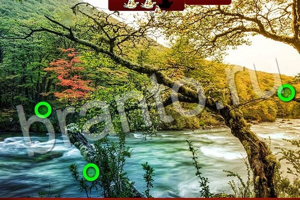 Птичий переполох игра из Одноклассников подсказки Уровень 564