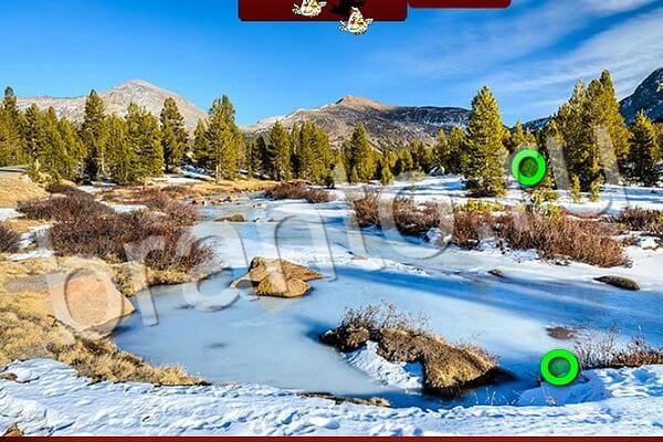 Птичий переполох игра в Одноклассниках помощь Уровень 565