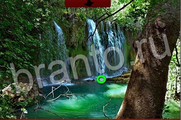 Игра Птичий переполох подсказки вконтакте Уровень 568