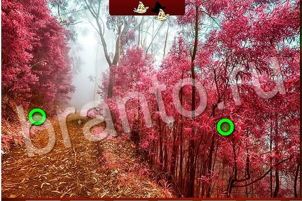 игра Птичий переполох помощь ВК Уровень 569