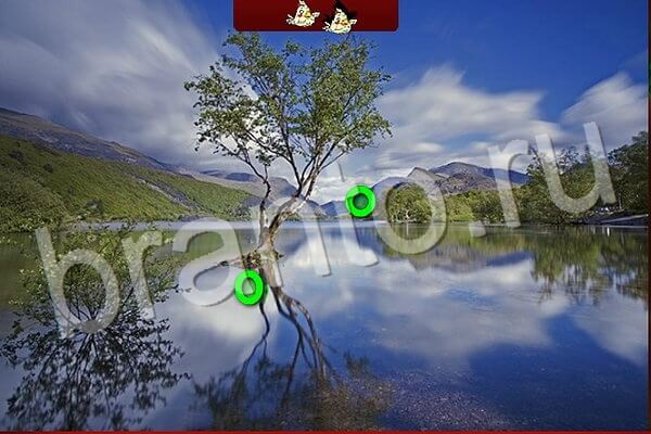 игра Птичий переполох ответ в контакте на Уровень 570