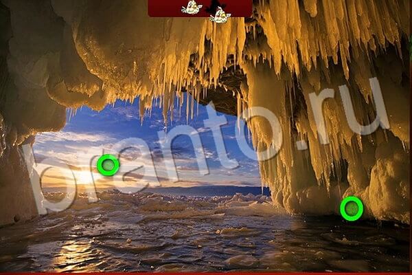 Помощь на игру ВК Птичий переполох Уровень 574