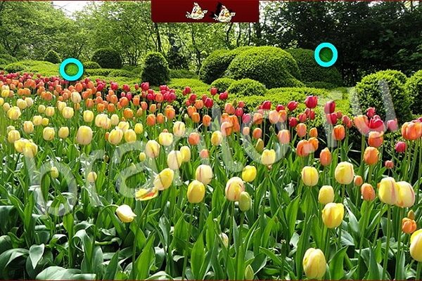 ответы к игре Птичий переполох Уровень 575