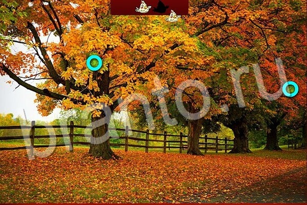 ответы на игру в одноклассниках Птичий переполох Уровень 576