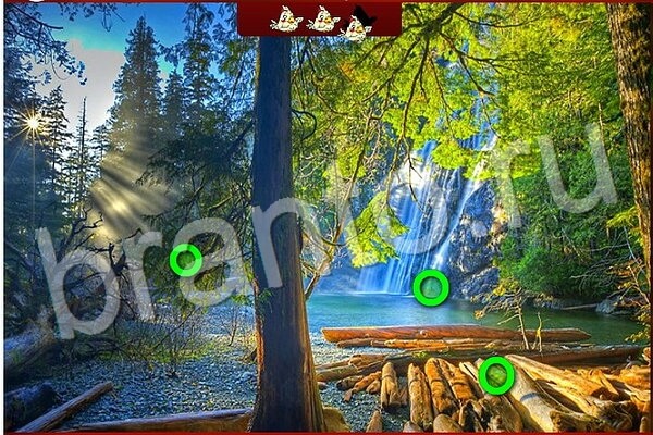 Птичий переполох игра ответы Уровень 583