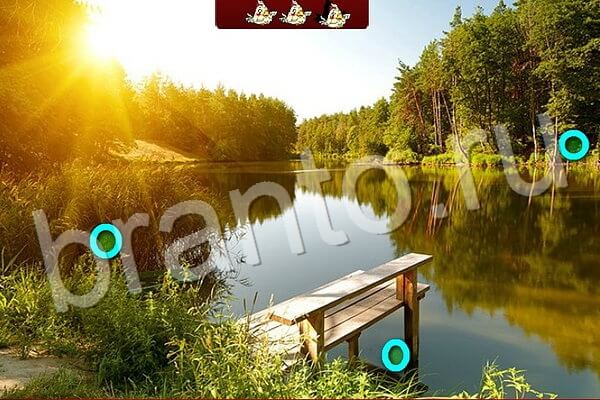 Птичий переполох ответы в картинках Уровень 586