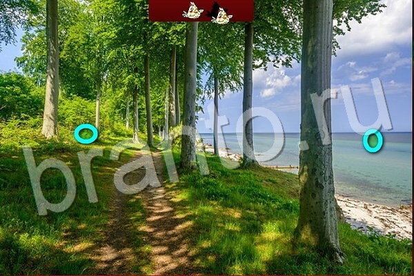 Одноклассники Игра Птичий переполох ответы Уровень 587