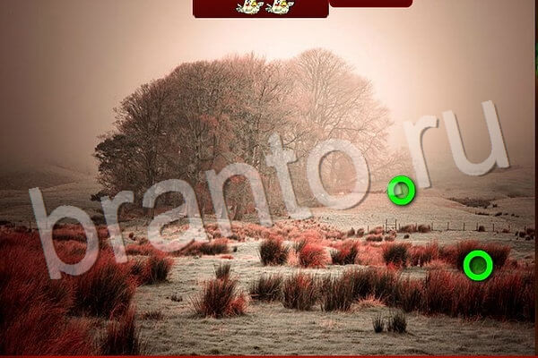 Птичий переполох игра из Одноклассников подсказки Уровень 594