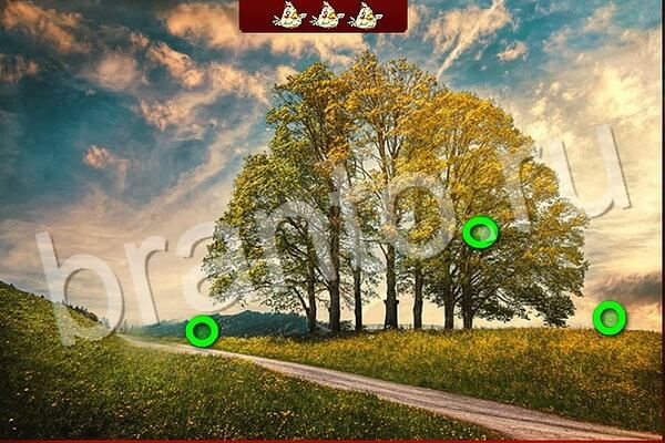 Игра Птичий переполох одноклассники ответы Уровень 597