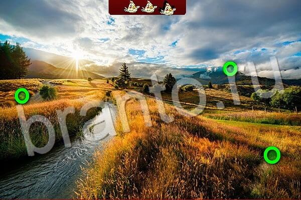 Игра Птичий переполох подсказки вконтакте Уровень 598