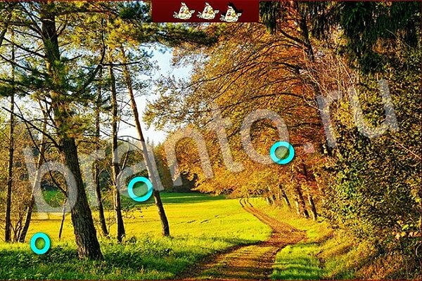 игра Птичий переполох ответ в контакте на Уровень 600