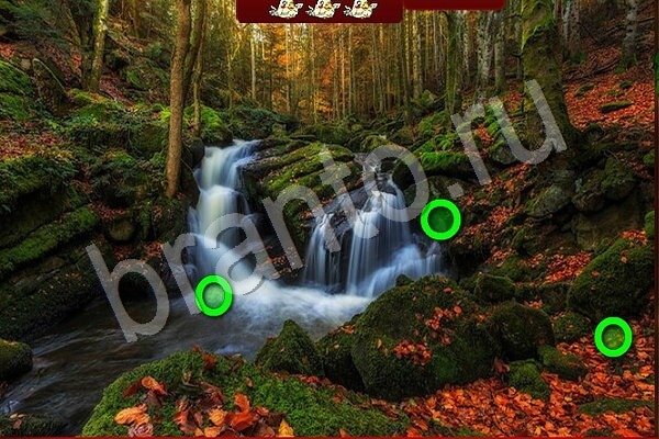 Подсказки на игру Птичий переполох Уровень 602