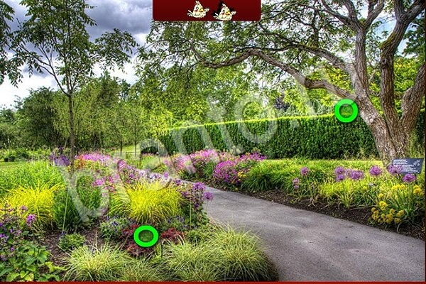 Решения на игру Птичий переполох Уровень 603