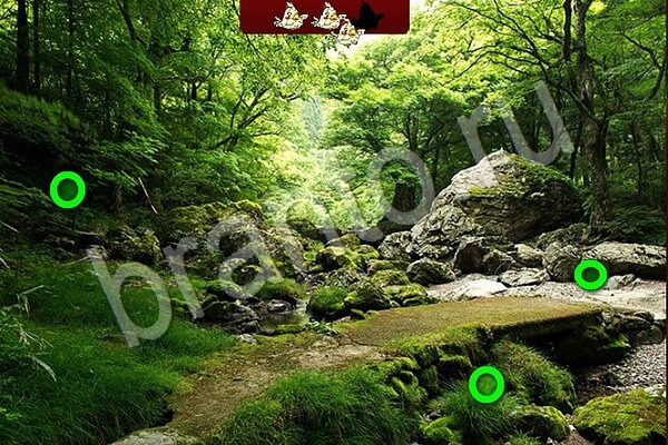 Помощь на игру ВК Птичий переполох Уровень 604