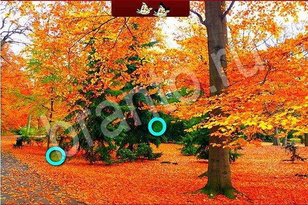 ответы к игре Птичий переполох Уровень 605