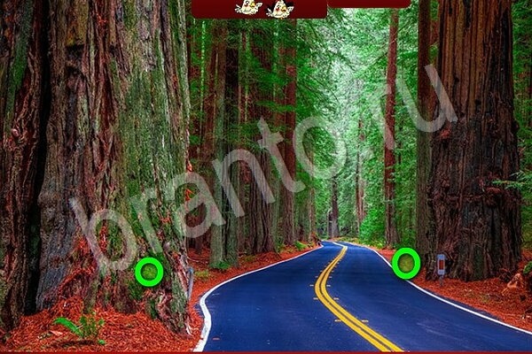 решебник на игру Птичий переполох Уровень 611