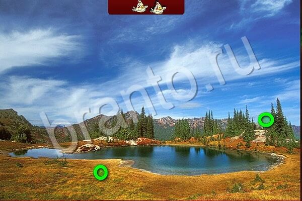 Одноклассники Игра Птичий переполох ответы Уровень 617