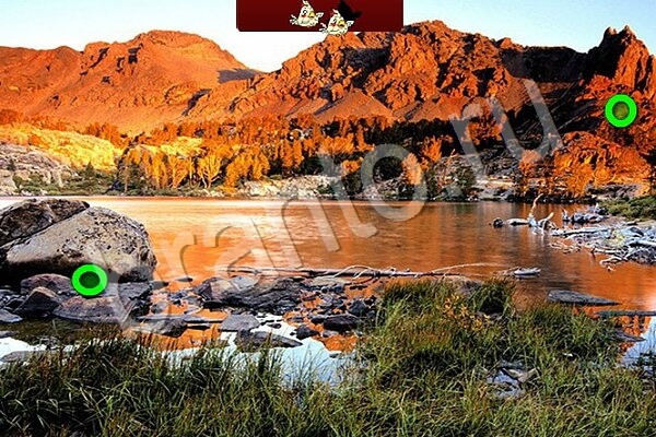 ВКонтакте Игра Птичий переполох подсказки Уровень 618