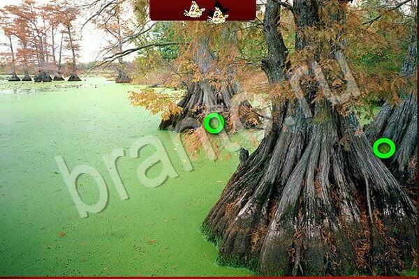 игра Птичий переполох одноклассники помощь Уровень 619