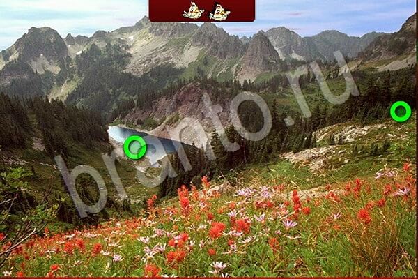 игра Птичий переполох ответ на Уровень 620