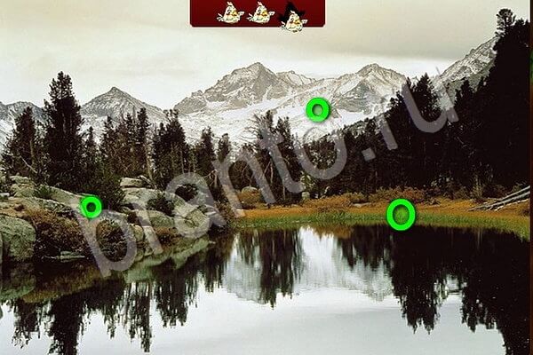 решебник на игру в контактеПтичий переполох Уровень 621