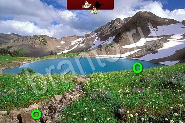 Птичий переполох ВК решения Уровень 622