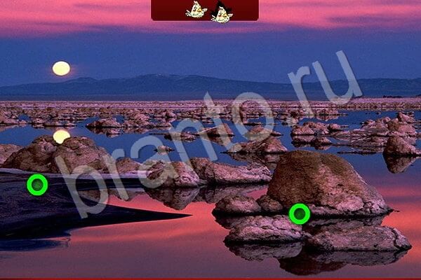 Птичий переполох игра в Одноклассниках помощь Уровень 625