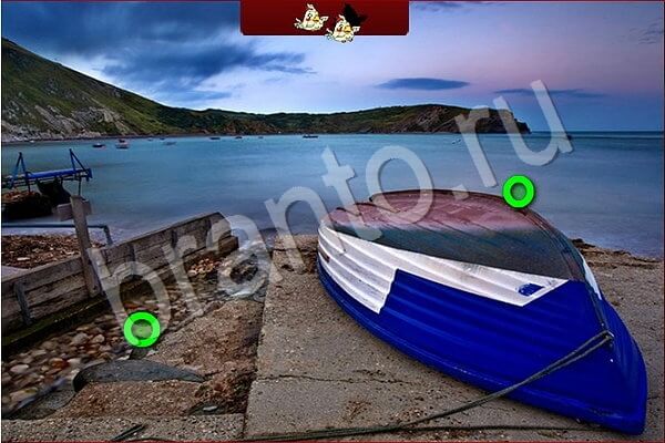 Игра Птичий переполох одноклассники ответы Уровень 627