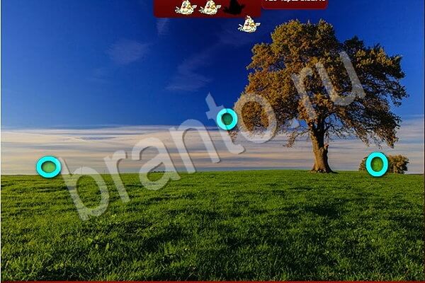 игра Птичий переполох ответ в контакте на Уровень 630