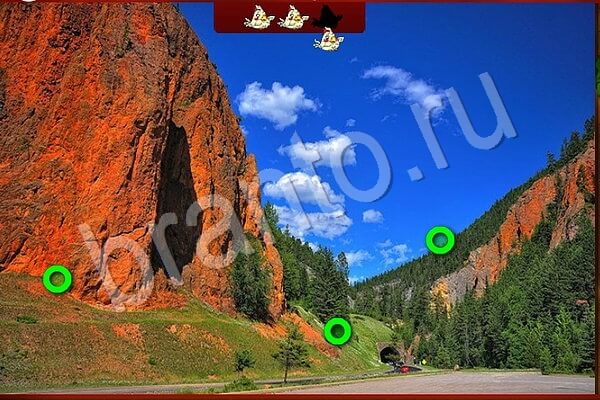 Помощь на игру ВК Птичий переполох Уровень 694