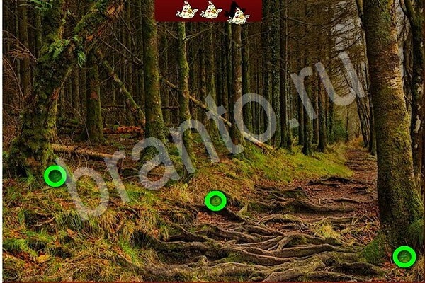 ответы к игре Птичий переполох Уровень 695