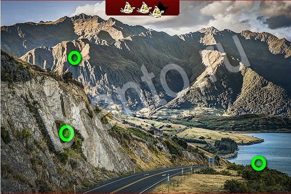 Птичий переполох игра ответы в одноклассниках Уровень 697