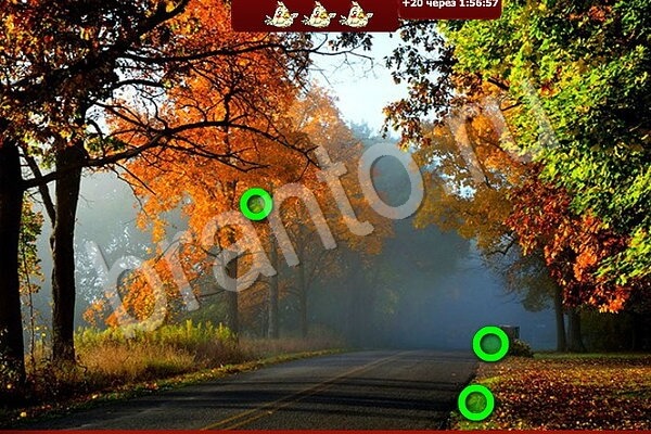 игра Птичий переполох ответ на Уровень 700