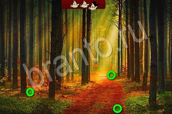 решебник на игру Птичий переполох Уровень 701