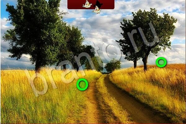 Птичий переполох игра подсказки Уровень 704