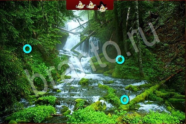 Одноклассники Игра Птичий переполох ответы Уровень 707