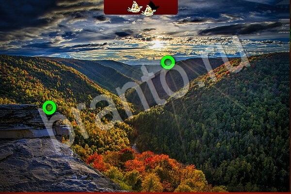 Птичий переполох ВК решения Уровень 712