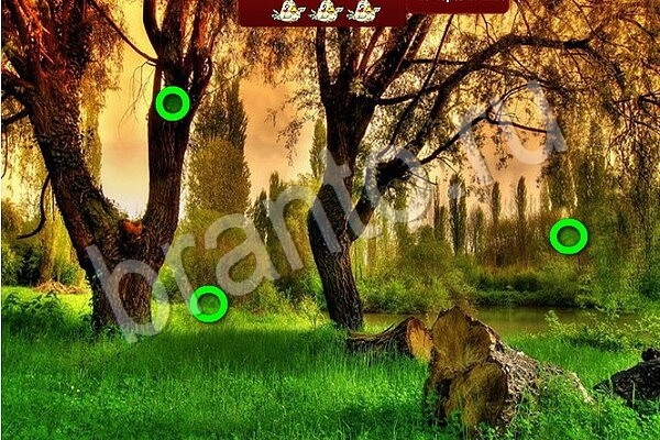 Птичий переполох игра в контакте ответы Уровень 713