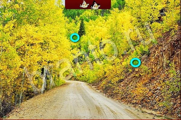 Птичий переполох игра из Одноклассников подсказки Уровень 714